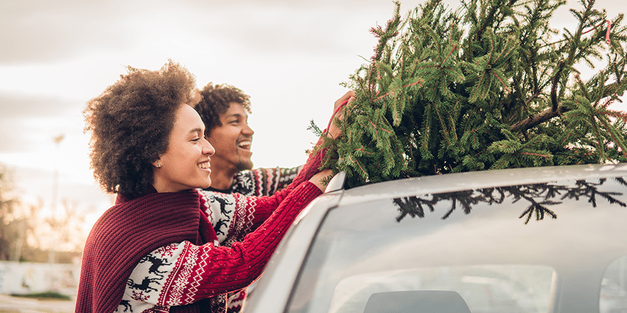 A young couple placing a christmas tree on the hood of a car.