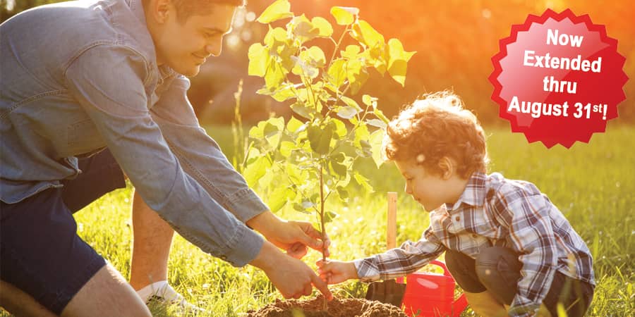 A father and his son planting a tree outside on a sunny day. To the right, a starburst with the words: Now Extended through August 31st!