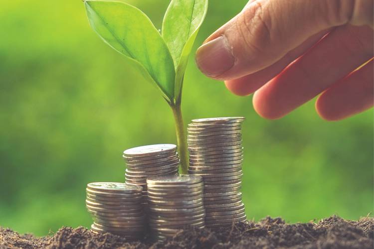 Coins stacked around a growing plant on top of dirt with a hand reaching for it.