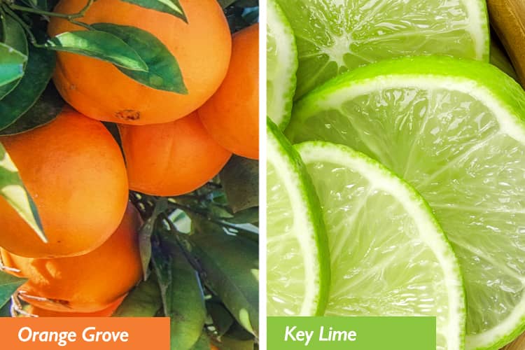 Orange groves and keylimes.