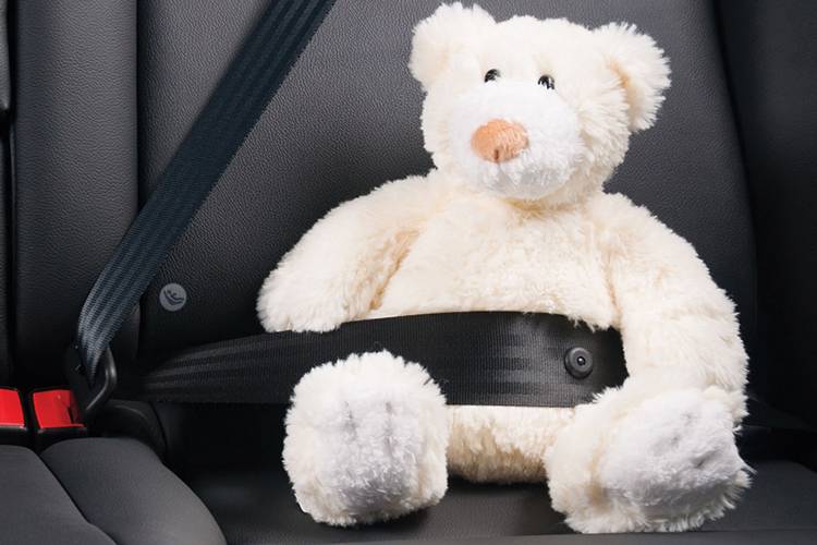 White teddy bear strapped in a seat belt.
